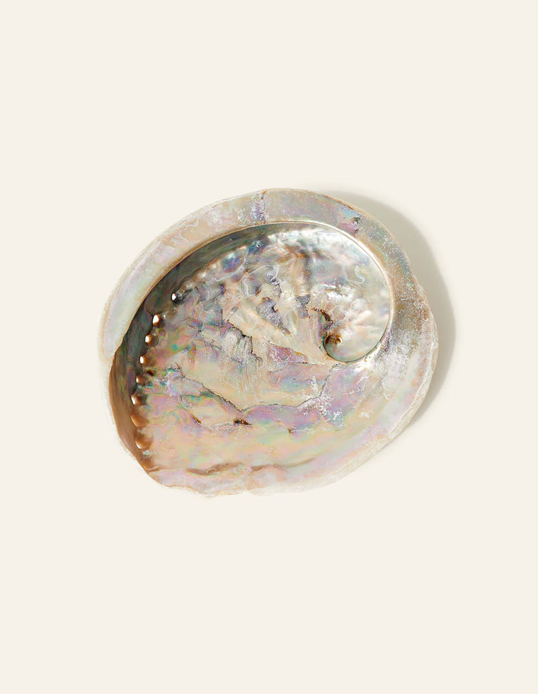 Sustainable Abalone Shell