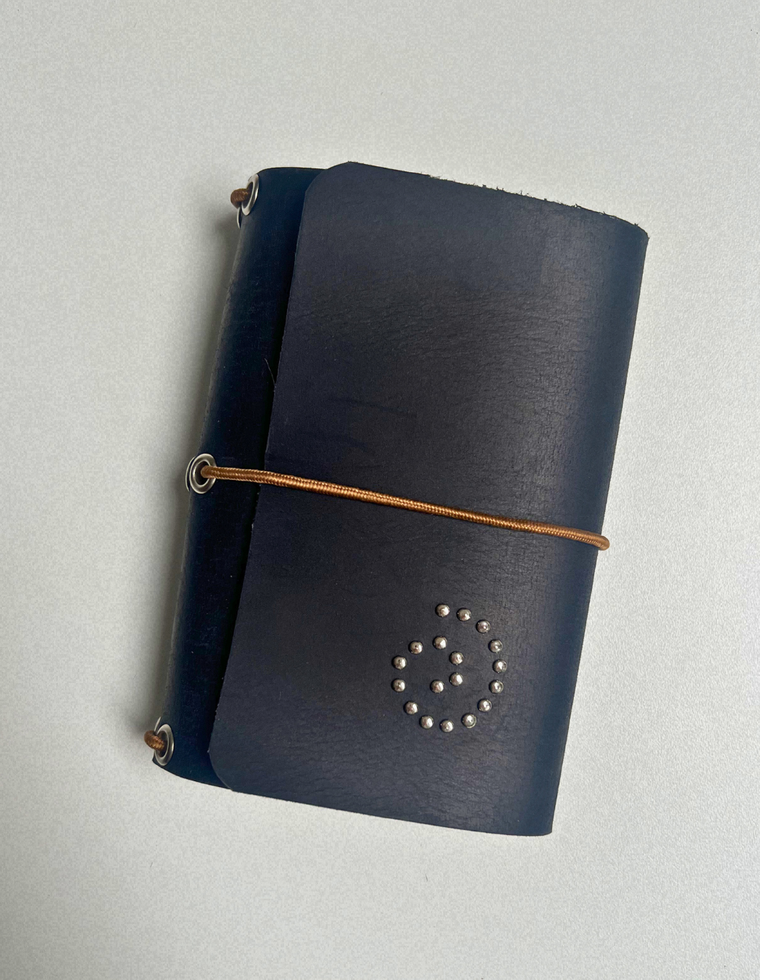 Field Journal 3